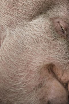 Thomas Northcut/Digital Vision/Getty Images