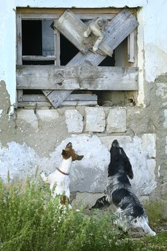 Serg_Velusceac/iStock/Getty Images