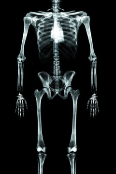 A psychiatrist needs a deep comprehension of the human body.