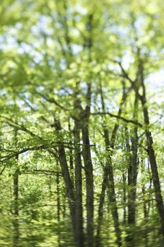 Thinkstock/Comstock/Getty Images