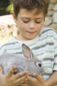 Jupiterimages/Pixland/Getty Images