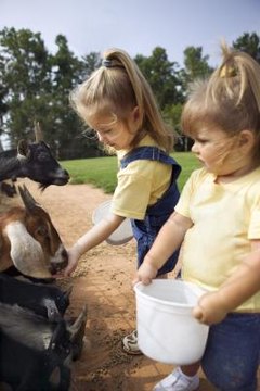 Thinkstock/Comstock/Getty Images