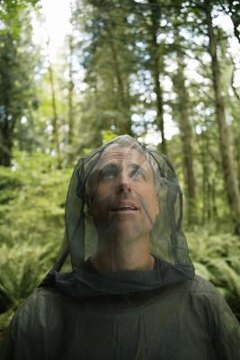 Thomas Northcut/Photodisc/Getty Images