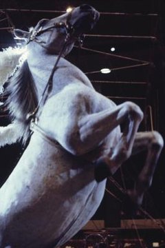 Jerry Yulsman/Photodisc/Getty Images