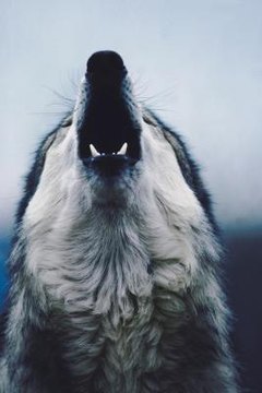 NA/AbleStock.com/Getty Images