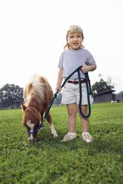 Thinkstock/Stockbyte/Getty Images