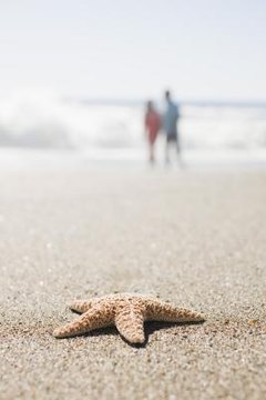 Jupiterimages/Creatas/Getty Images