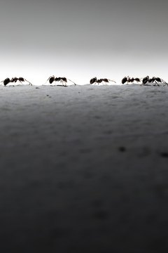 kietisak/iStock/Getty Images