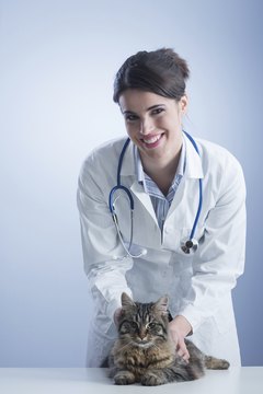 stokkete/iStock/Getty Images