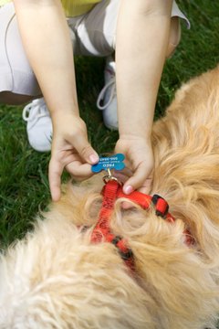 Thinkstock/Comstock/Getty Images
