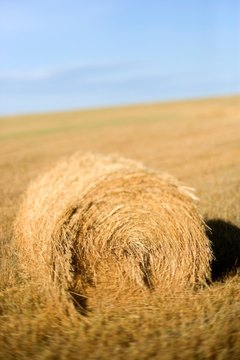 Thinkstock/Comstock/Getty Images