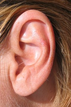 Auditory learners prefer to hear instruction being given.