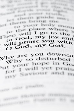 Bible study constitutes a vital part of many Baptist colleges' curriculum.
