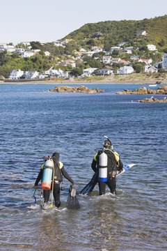 Scuba diving can catch the reader's attention.