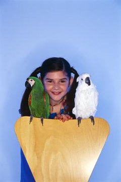 Cockatiels have a wide vocal range, which includes cooing sounds.