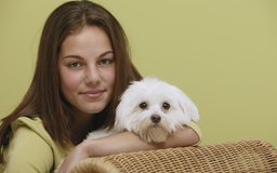 Watch How to Remove Dog Saliva Stains video Watch How to Remove Dog Saliva Stains video