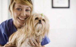 Jupiterimages/Brand X Pictures/Getty Images Los técnicos y asistentes veterinarios proporcionan apoyo a los animales bajo los cuidados de los veterinarios.