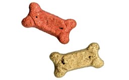 Can Dogs Eat Boiled Turkey Bones Can Dogs Eat Boiled Turkey Bones