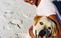 How Old Are Dogs When Thay Stop Weeing With Excitement How Old Are Dogs When Thay Stop Weeing With Excitement