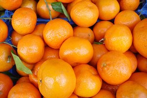 ¿Cuándo debo recoger naranjas del árbol?