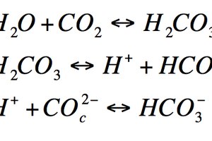 CO2 en el océano