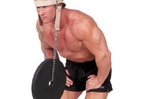 Un arnés de cuello es la herramienta de entrenamiento más tradicional.