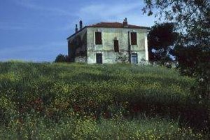 KOSTAS KITSOS Old