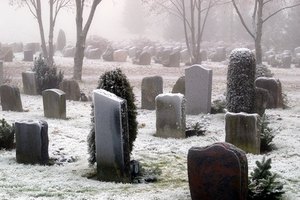 cemetery image by Einar Bog from Fotolia.com Include pertinent familial history, such as those who've passed already, when composing an obituary.