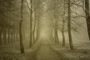 alley to past image by Alexanderk from Fotolia.com When you have an instant connection with someone from a past life, the mystery of who you are starts to unravel.