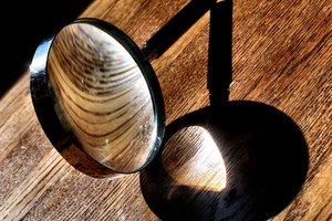 magnifying glass 3 image by Psycience from Fotolia.com Your