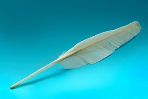 goose feather image by Olga Shelego from Fotolia.com Writing
