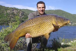 Sablin/iStock/Getty Images Carp have sharp senses of smell and taste, which makes natural baits more effective than artificial lures.