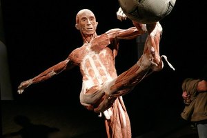 Al patear un balón estás trabajando el músculo sartorio.