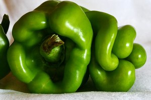 Pimientos verdes.