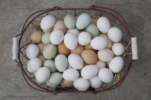 Los huevos pueden producir alergias..