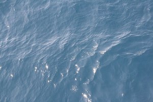 El agua es necesaria para una variedad de funciones de tu cuerpo.