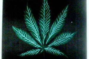 El Colegio Médico de Virgina, en 1974, fue el primero en descubrir el valor medicinal del cannabis.