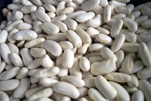 Los frijoles blancos norteños son ricos en proteínas.
