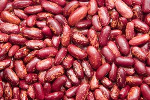 Los frijoles crudos saben mejor y contienen toxinas naturales.