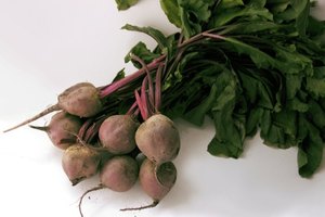 Las remolachas pueden tener un efecto positivo en el colesterol y la presión arterial.