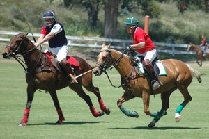 Los partidos de polo pueden ser una manera entretenida de pasar la tarde.