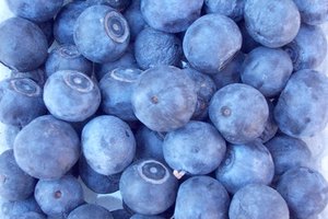 Agregando arándanos y otros alimentos antioxidantes puedes ayudar a prevenir las infecciones urinarias.