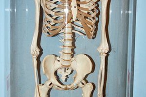 La salud de los huesos depende del calcio.