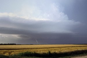 Haz planes con tu familia para prepararse para los tornados.