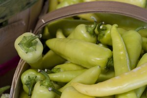 Los chiles