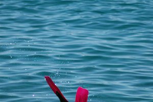 Las aletas de talón cerrado no necesitan botas, pero los calcetines de buceo pueden hacerlas más cómodas.