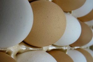 Las características únicas del suero anabólico las distinguen de otras fuentes de proteínas como los huevos.