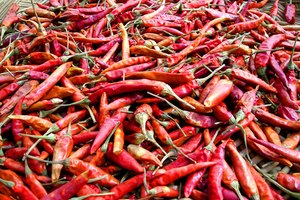 La capsaicina en los chiles aumenta la termogénesis