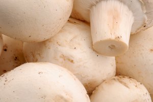 Los champiñones añaden beneficios de salud junto con sabor.