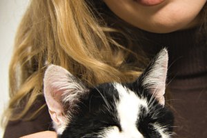 Tendrás que lidiar con la alergia de tu gato de por vida.